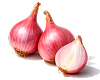 Shallot